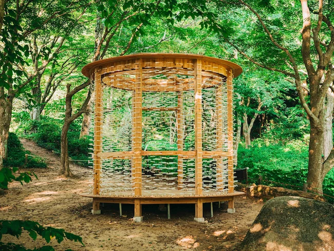 しらす、山に昇る昼イメージ