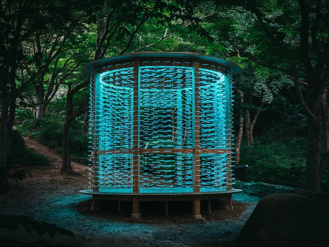 しらす、山に昇る夜イメージ